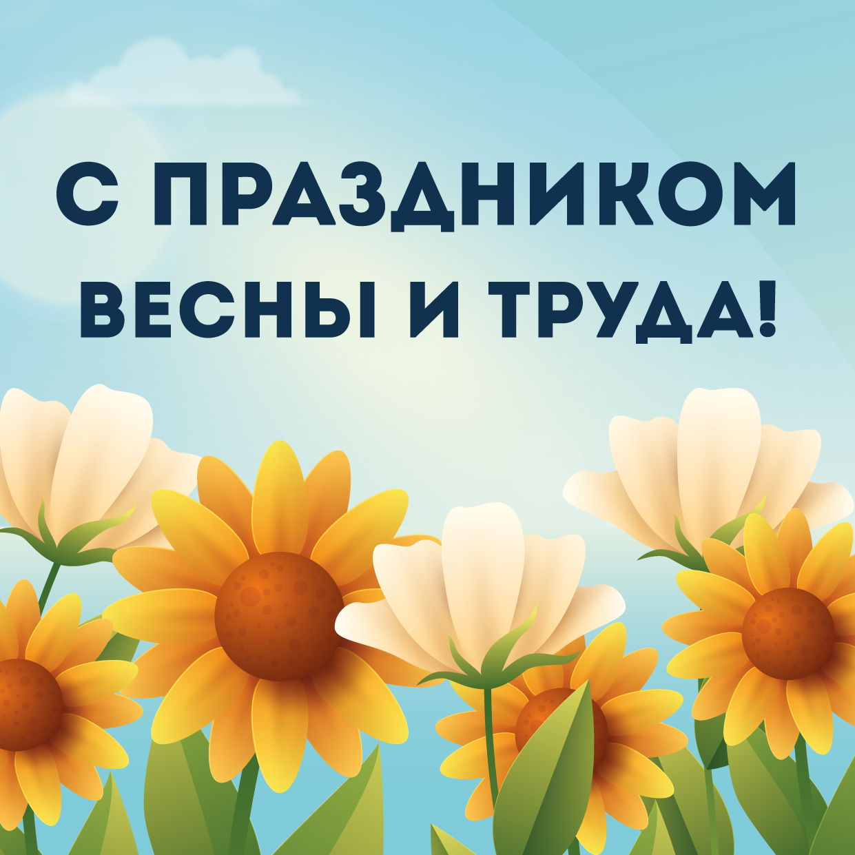 Новости
